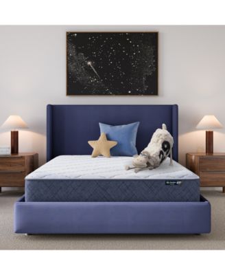 Serta - Dream Haven 10" Medium Tight Top Mattress in a Box - Twin