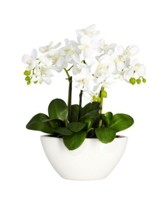 Nearly Natural - Phalaenopsis Flower Arrangement
